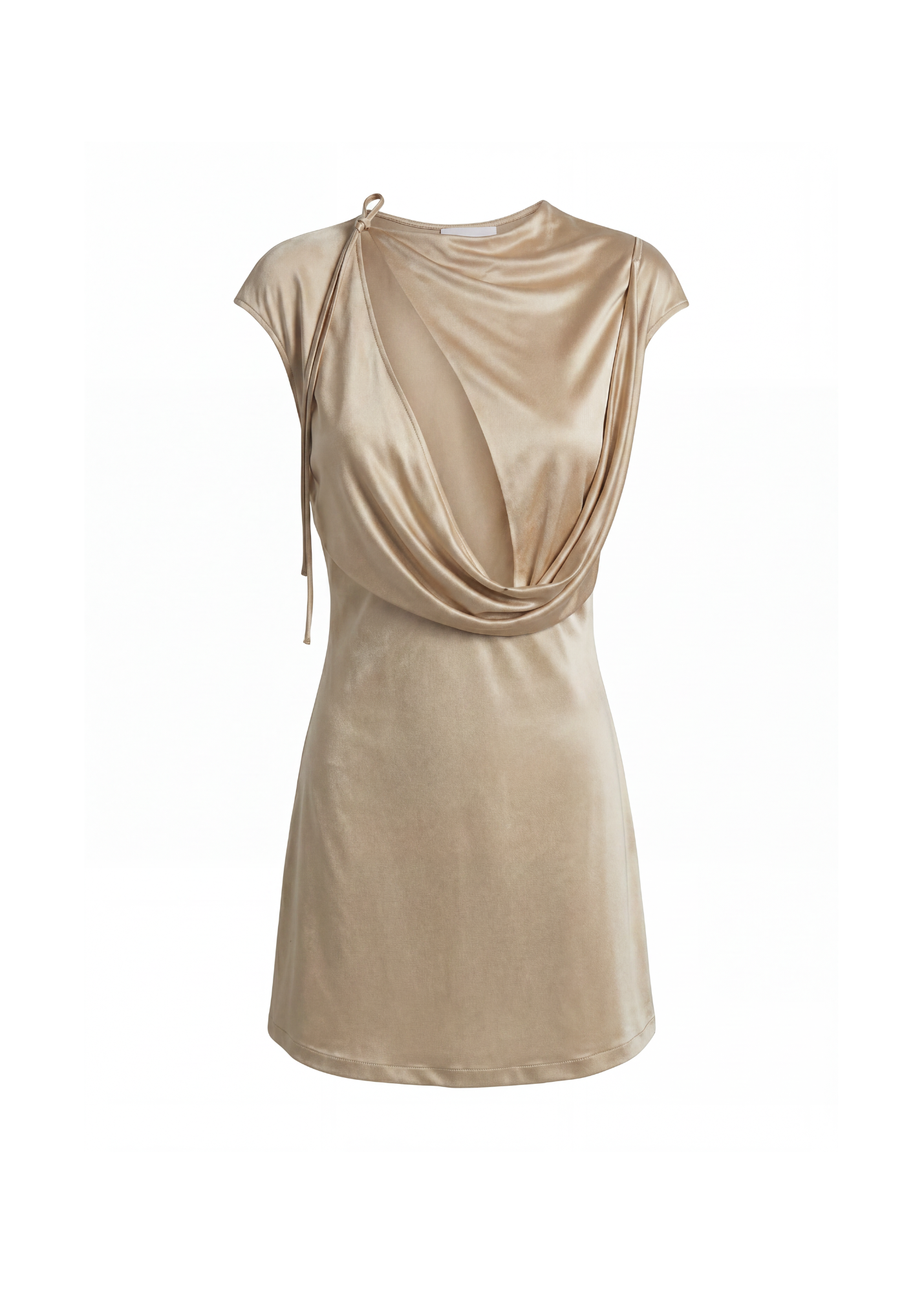 Aya Muse Nyra Dress in champagne