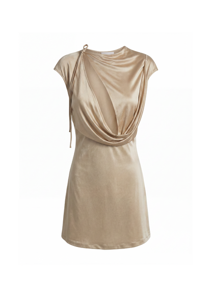 Aya Muse Nyra Dress in champagne