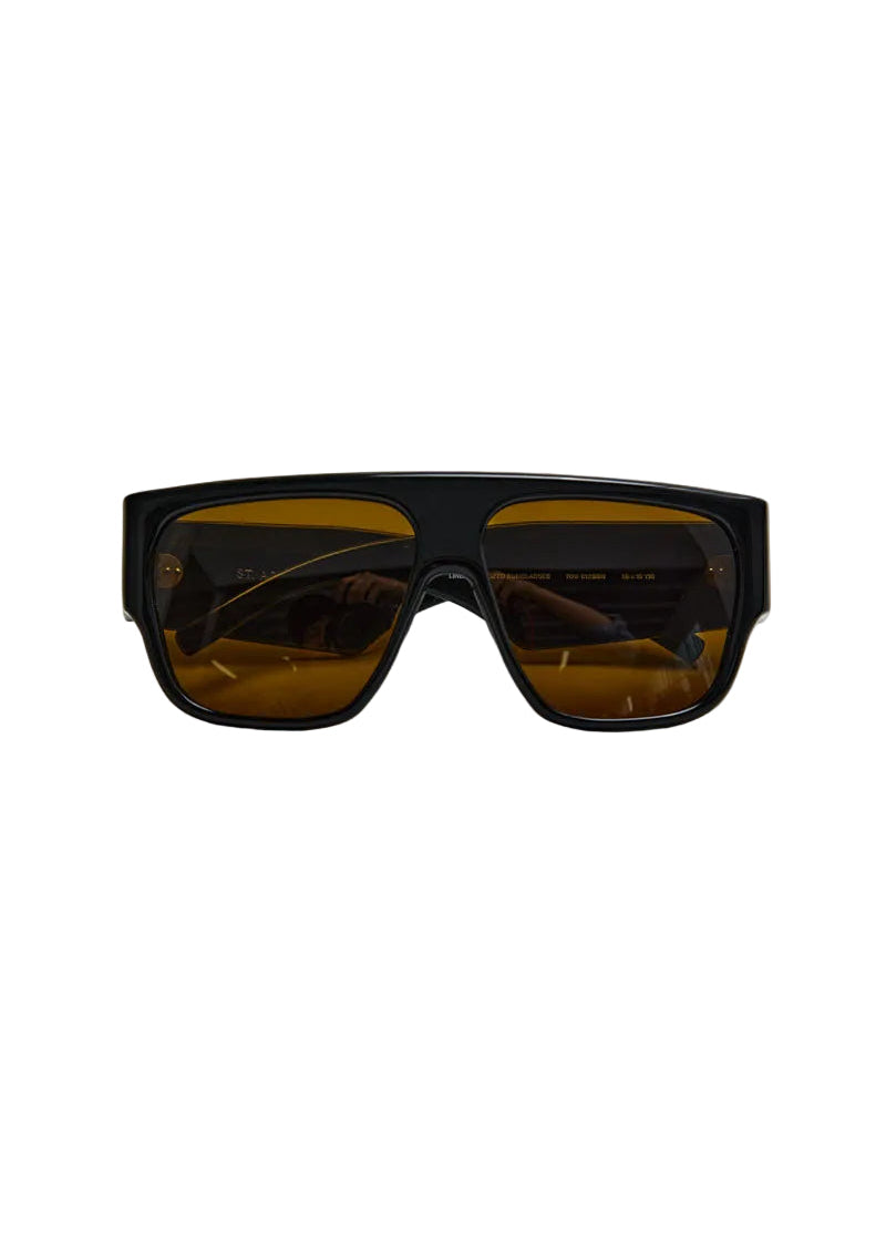 Black sunglasses with brown lenses on a white background